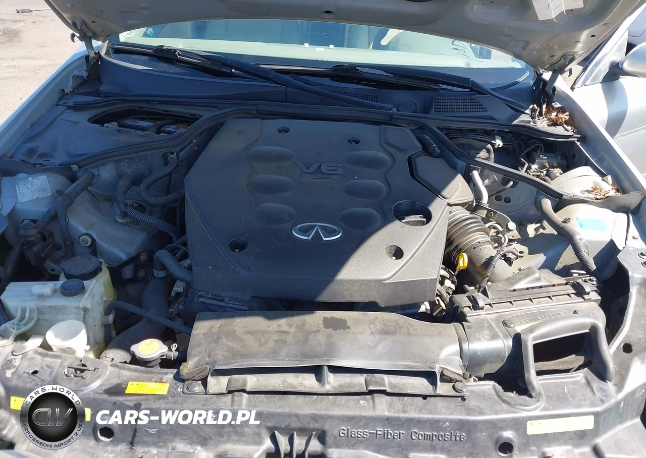 2004 Infiniti G35 VIN:JNKCV51E34M611241 - 10