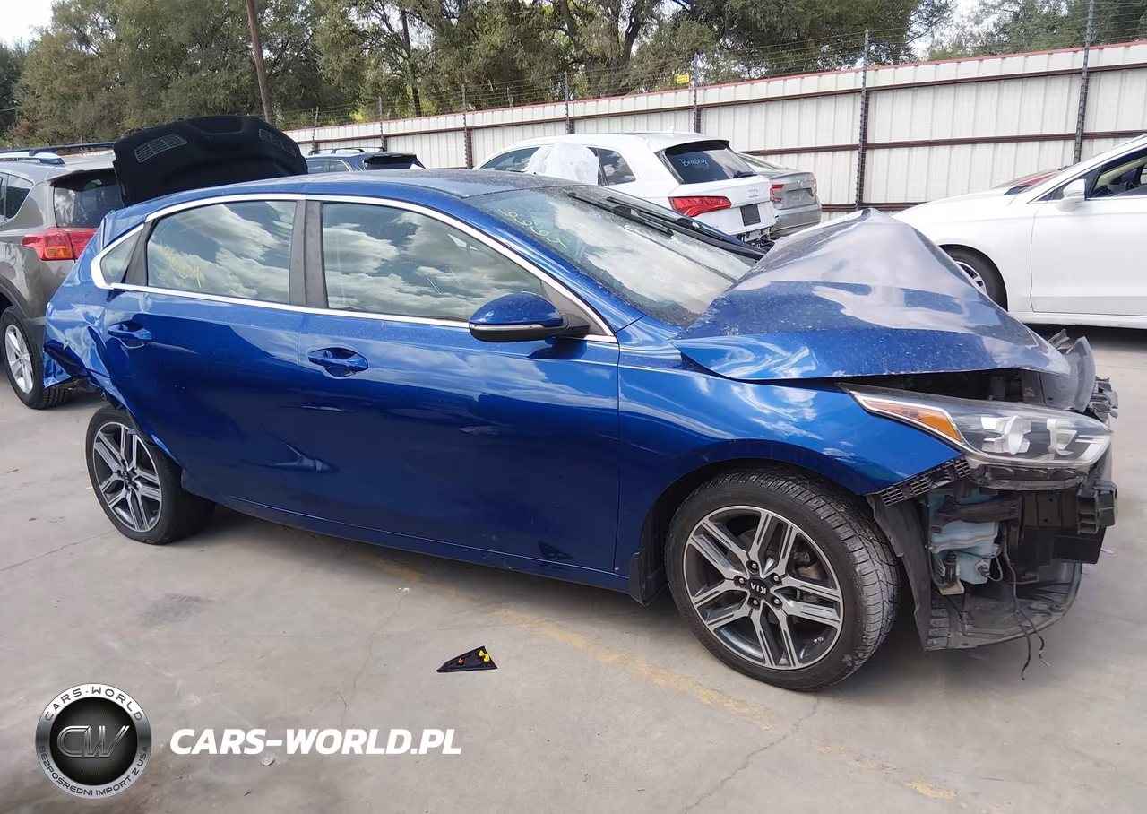 2020 Kia Forte Ex VIN:3KPF54AD1LE186664 - 13