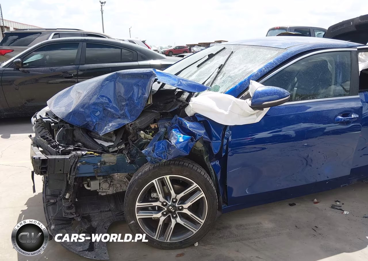 2020 Kia Forte Ex VIN:3KPF54AD1LE186664 - 19