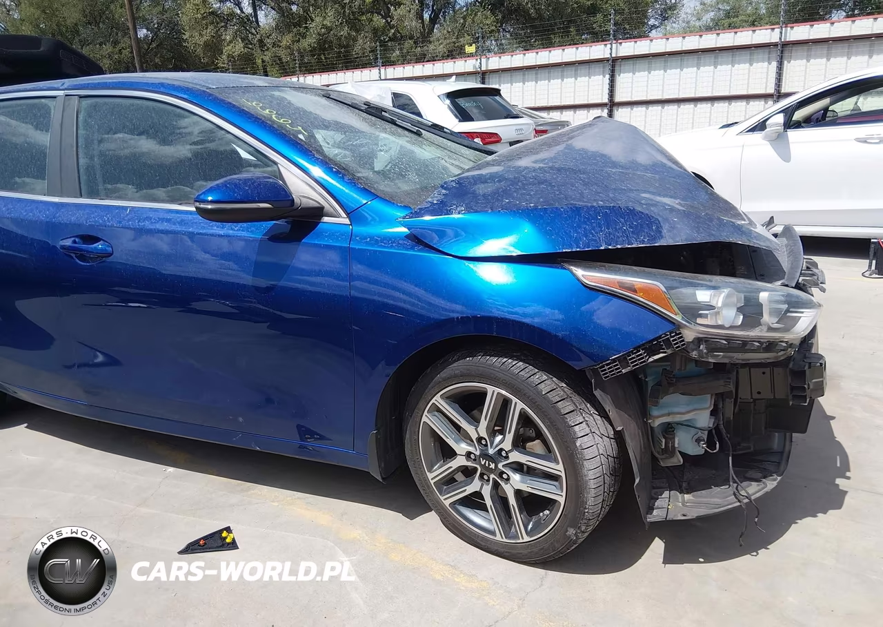 2020 Kia Forte Ex VIN:3KPF54AD1LE186664 - 21