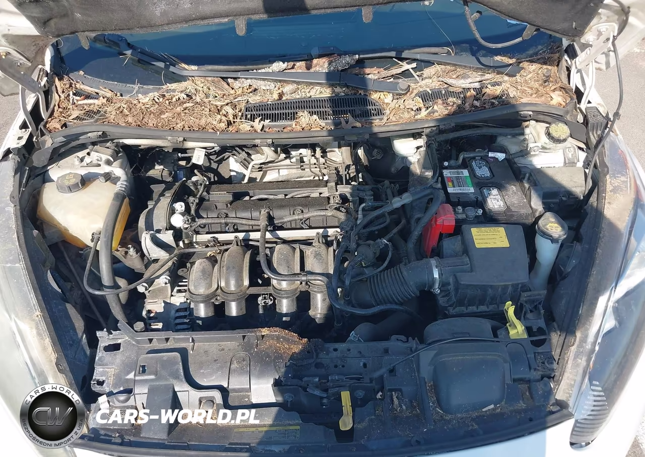2016 Ford Fiesta Se VIN:3FADP4BJ7GM158990 - 10
