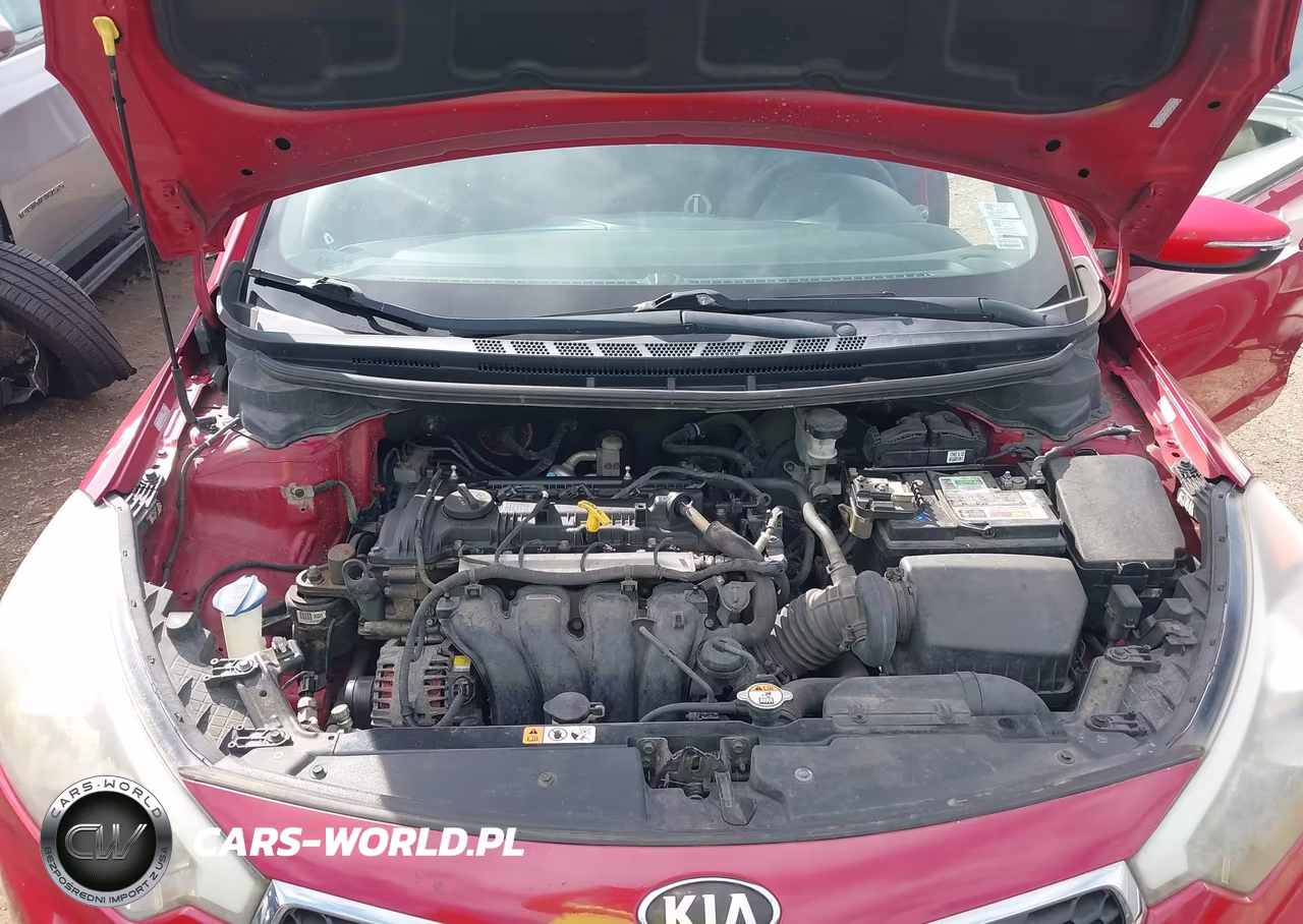 2014 Kia Forte Lx VIN:KNAFX4A68E5087735 - 10