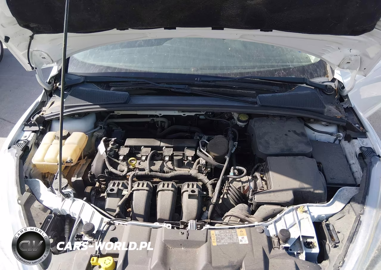 2016 Ford Focus Se VIN:1FADP3K21GL213745 - 10