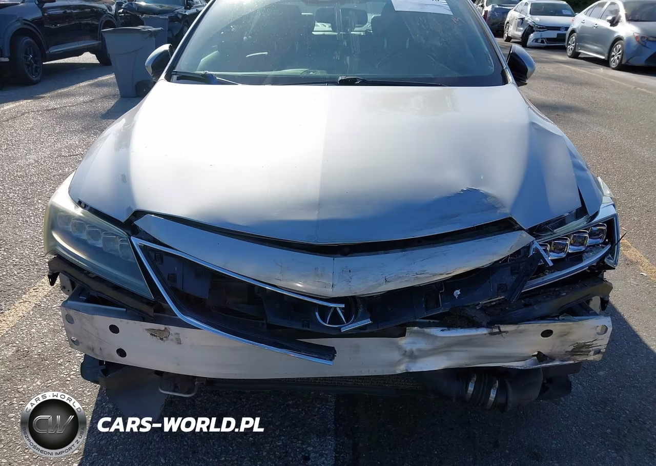 2017 Acura Ilx Premium A-Spec Packages-Technology Plus A-Spec Packages VIN:19UDE2F84HA016799 - 13