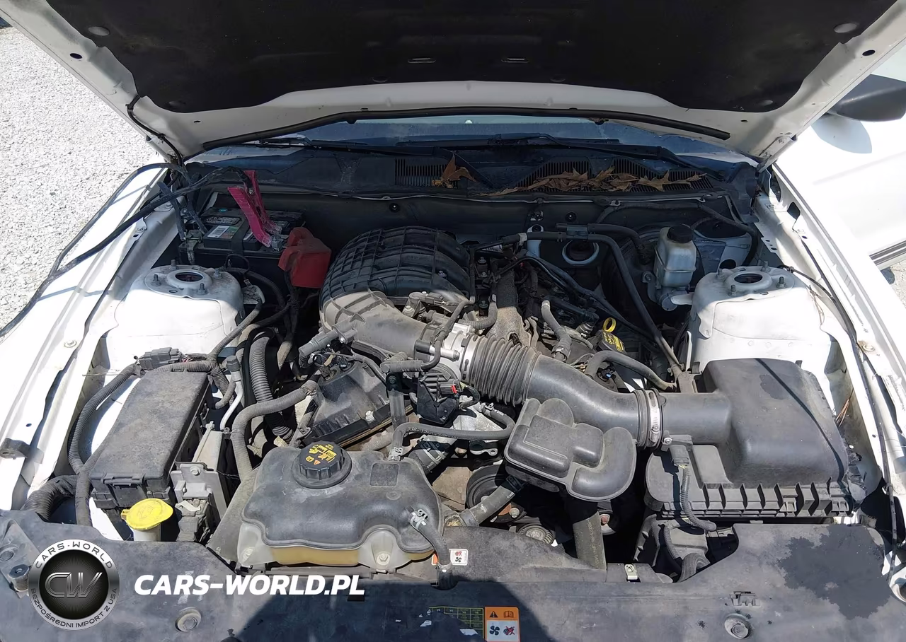 2012 Ford Mustang V6 Premium VIN:1ZVBP8AM7C5210944 - 10