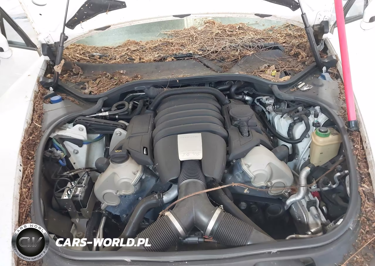 2015 Porsche Panamera 4 VIN:WP0AA2A73FL000512 - 10