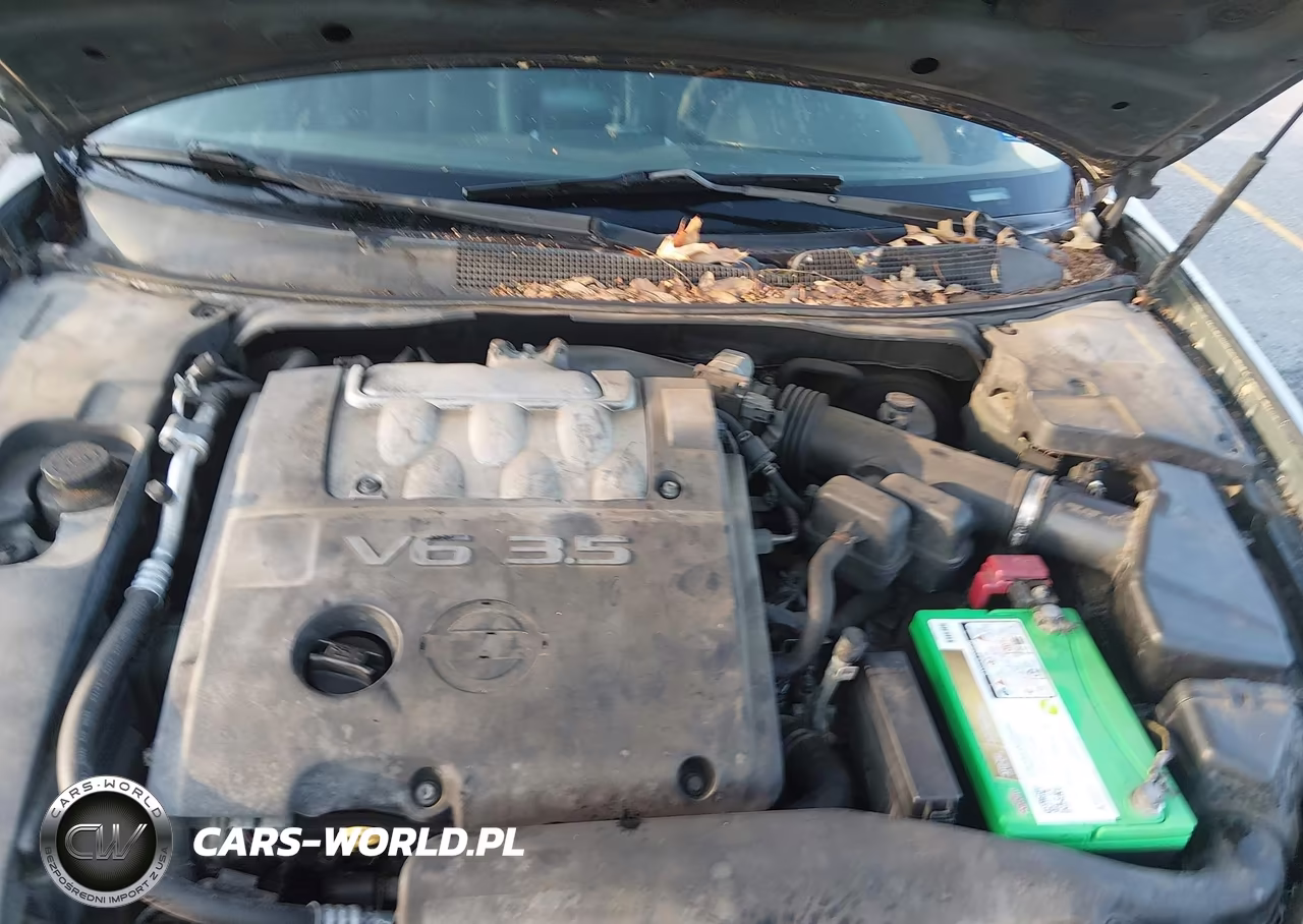 2008 Nissan Maxima 3.5 Se VIN:1N4BA41E58C834479 - 10