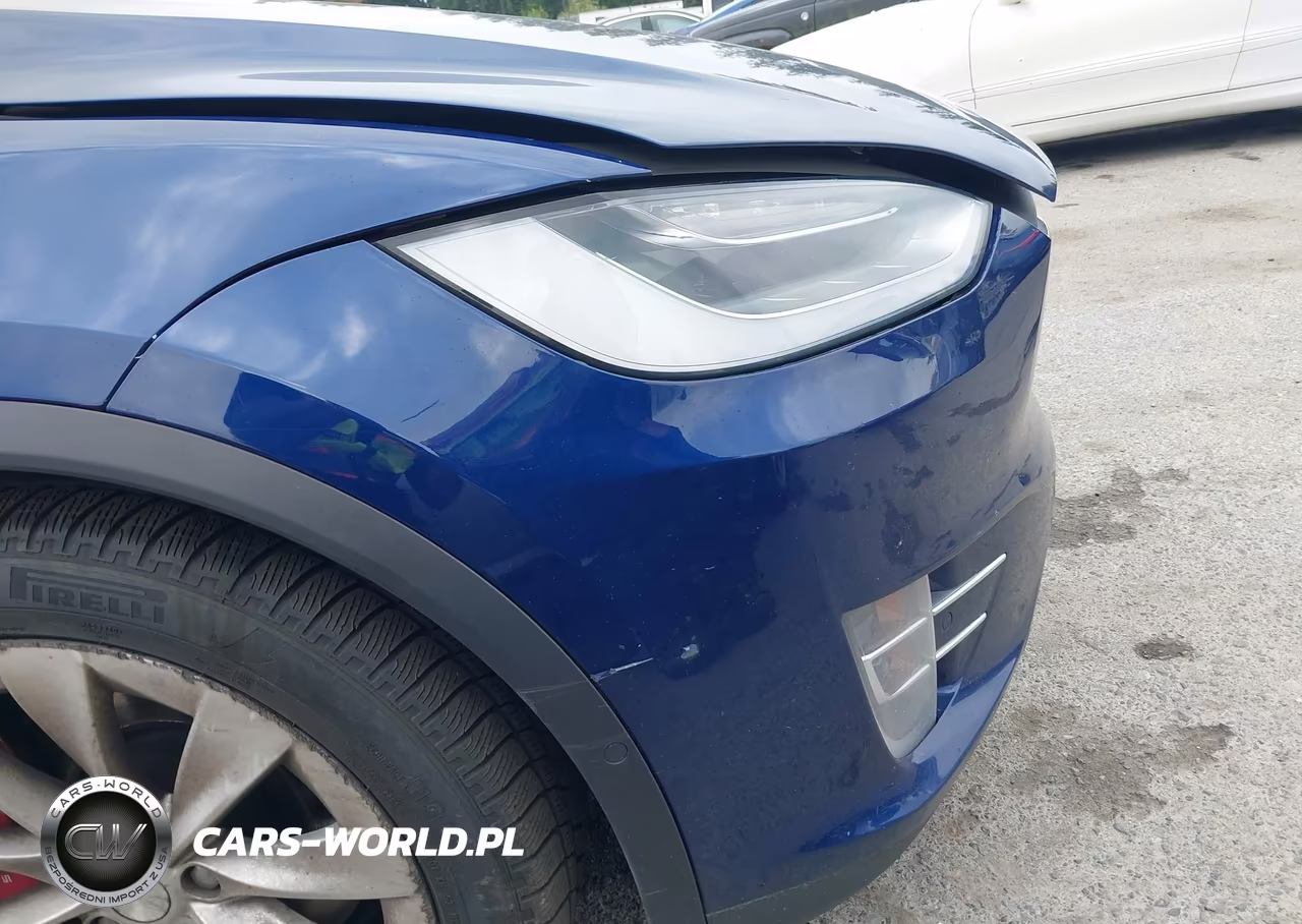 2017 Tesla Model X P100D VIN:5YJXCDE48HF056287 - 6