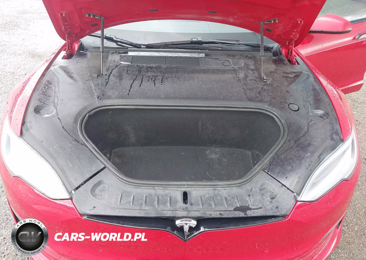 2021 Tesla Model S Long Range Dual Motor All-Wheel Drive VIN:5YJSA1E52MF428403 - 10