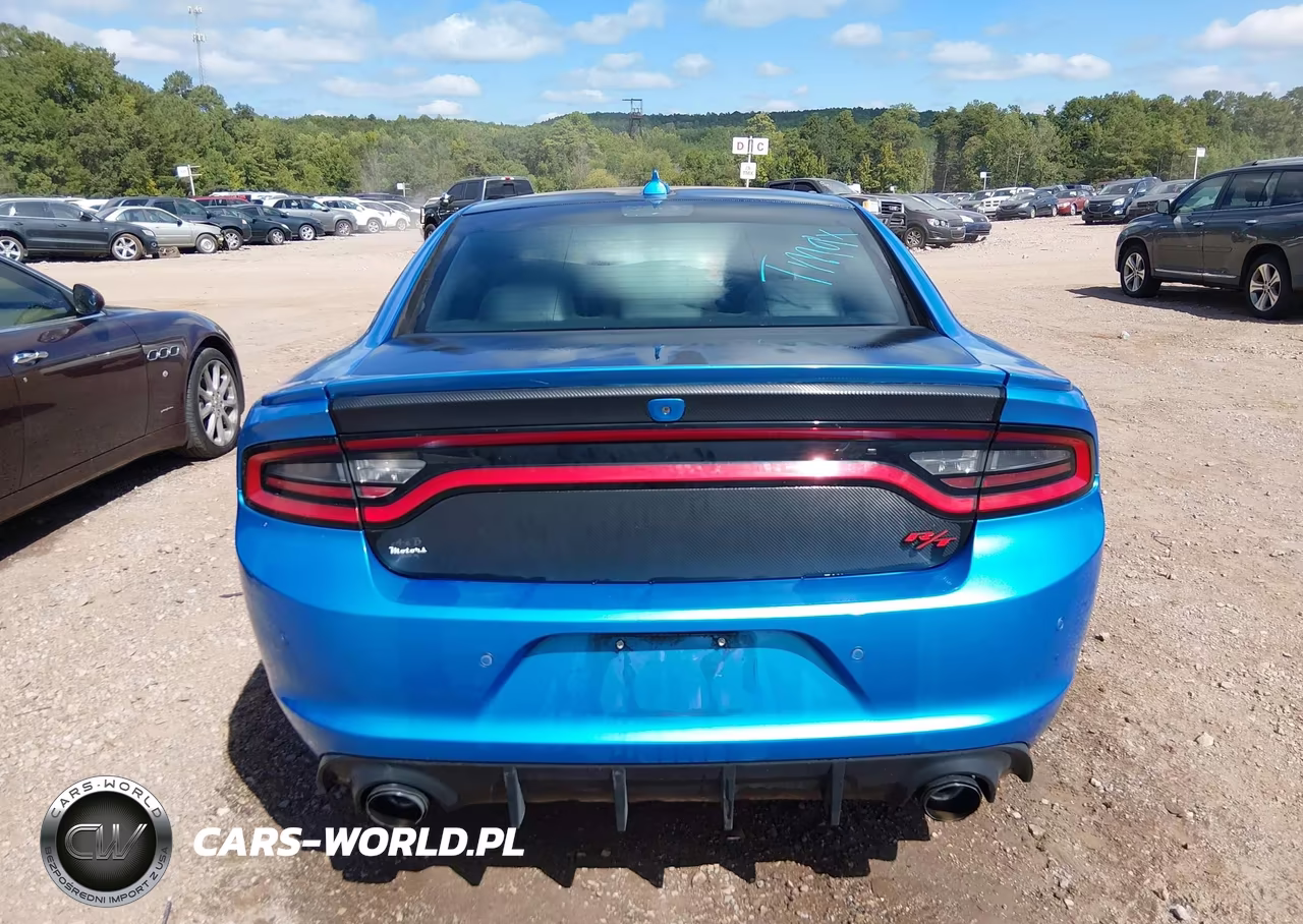 2015 Dodge Charger Road-Track VIN:2C3CDXCT2FH880479 - 17