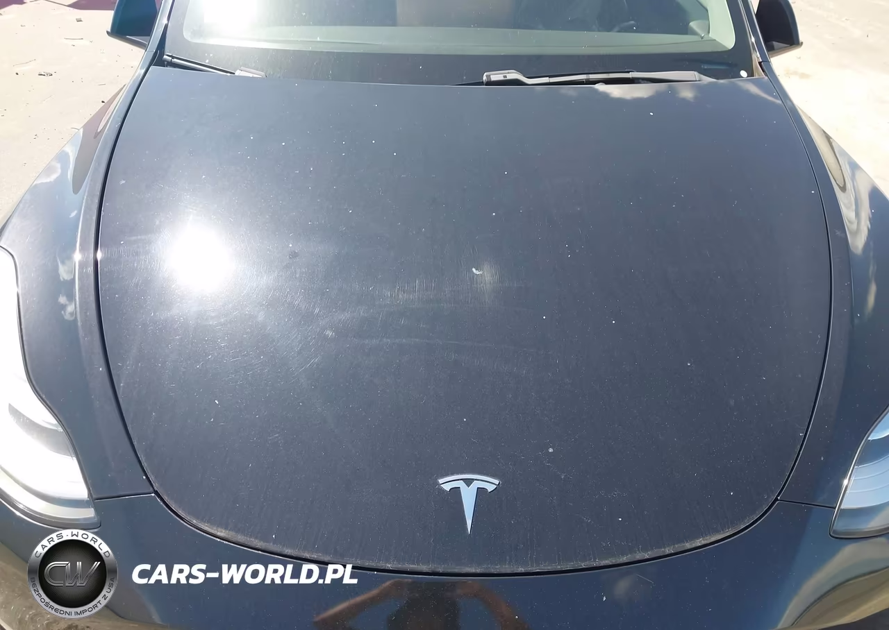 2020 Tesla Model Y Long Range Dual Motor All-Wheel Drive VIN:5YJYGDEE0LF026033 - 10
