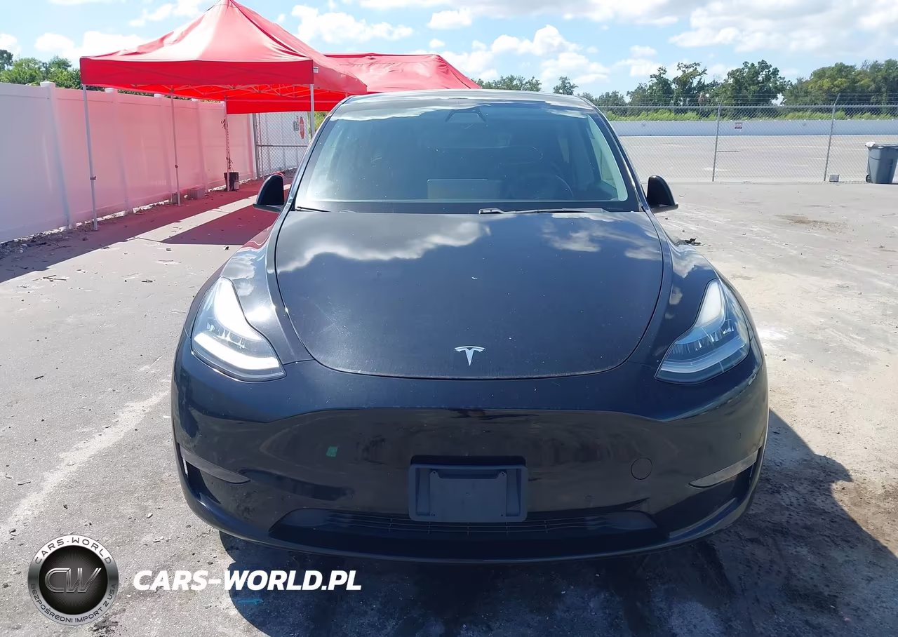 2020 Tesla Model Y Long Range Dual Motor All-Wheel Drive VIN:5YJYGDEE0LF026033 - 12