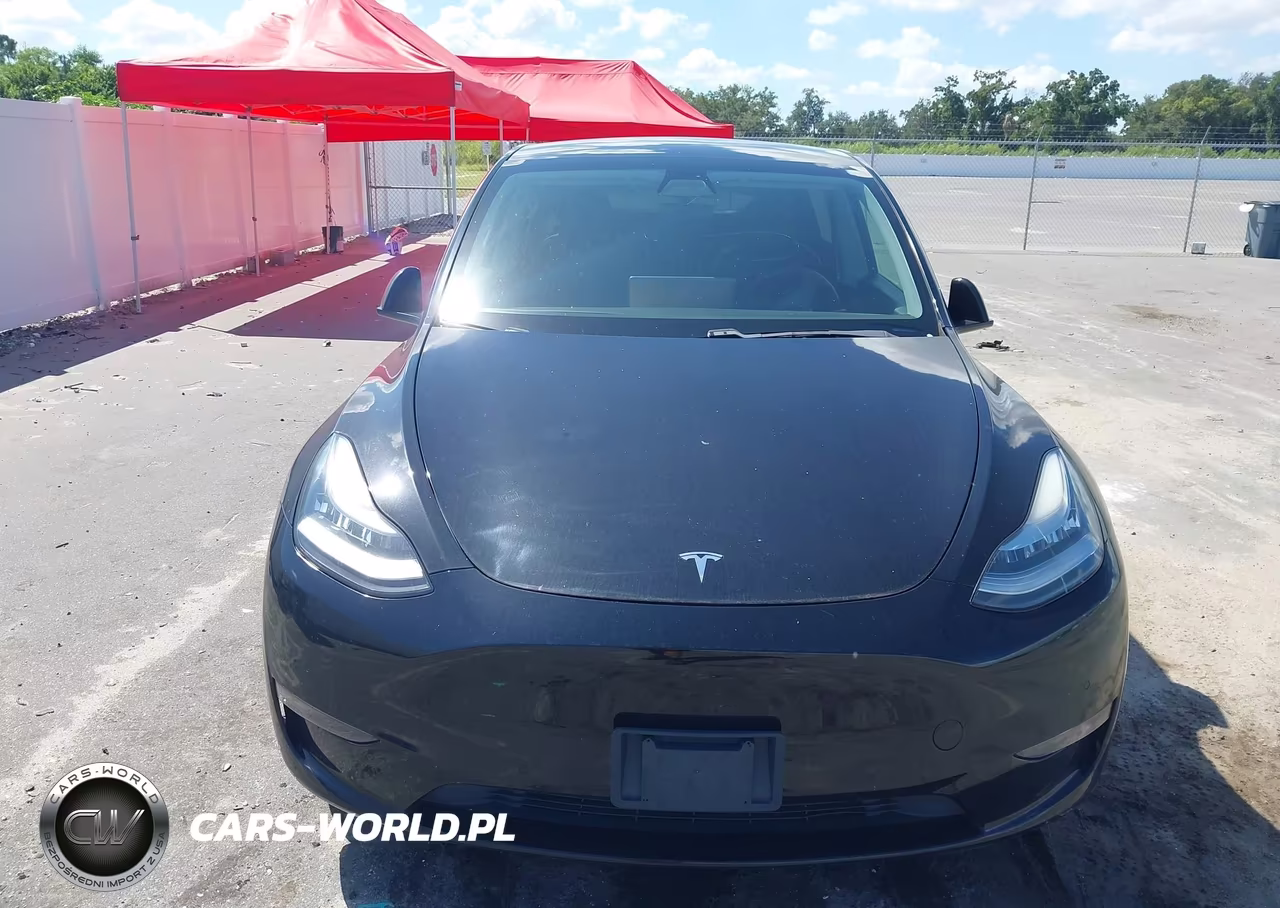 2020 Tesla Model Y Long Range Dual Motor All-Wheel Drive VIN:5YJYGDEE0LF026033 - 6