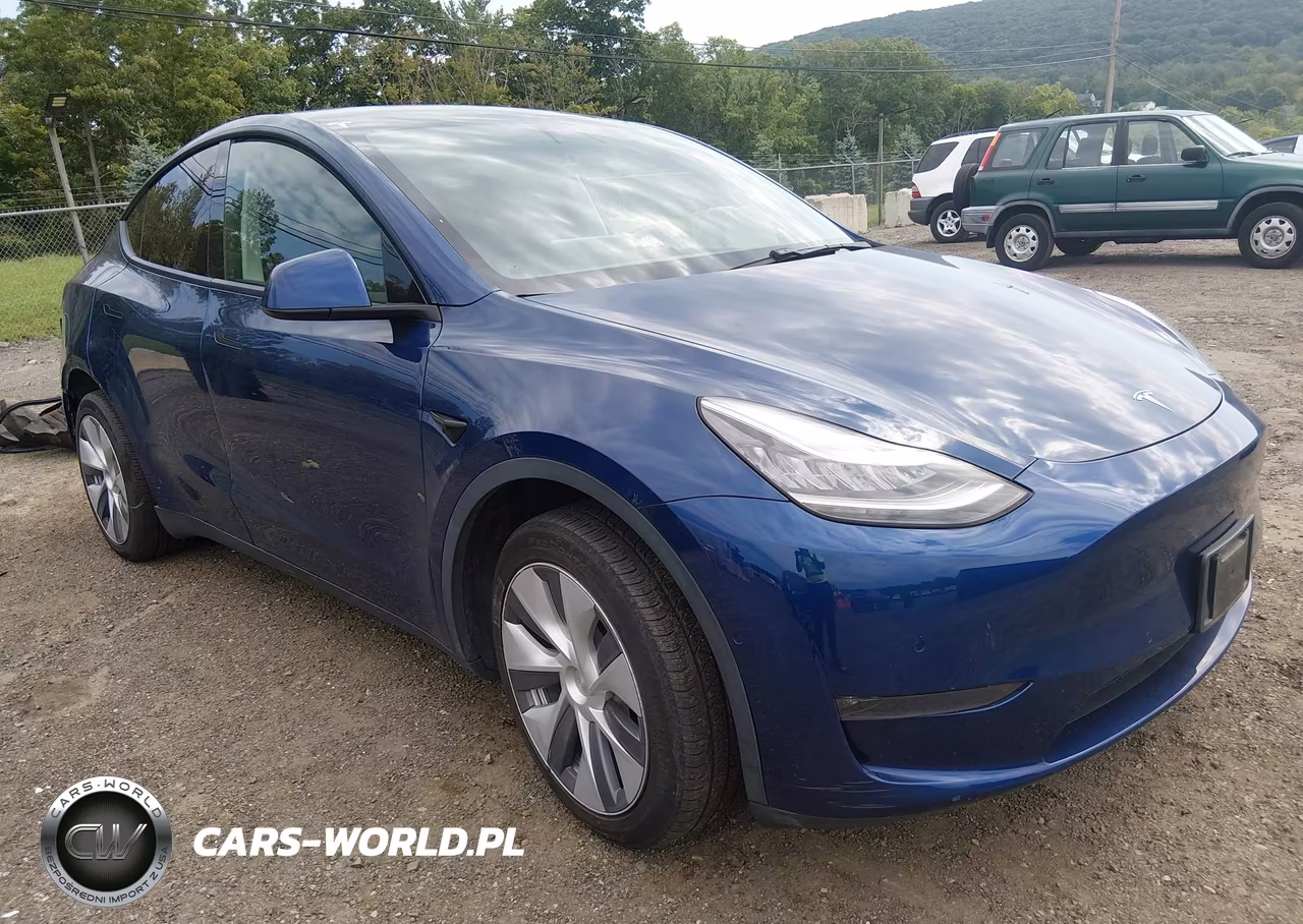 2021 Tesla Model Y Long Range Dual Motor All-Wheel Drive VIN:5YJYGDEE4MF071316 - 1