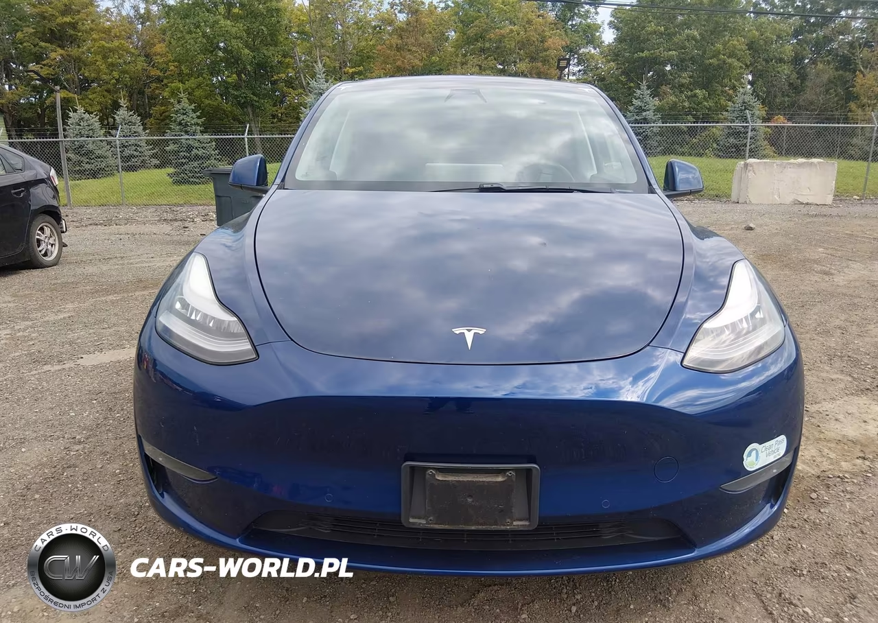 2021 Tesla Model Y Long Range Dual Motor All-Wheel Drive VIN:5YJYGDEE4MF071316 - 11