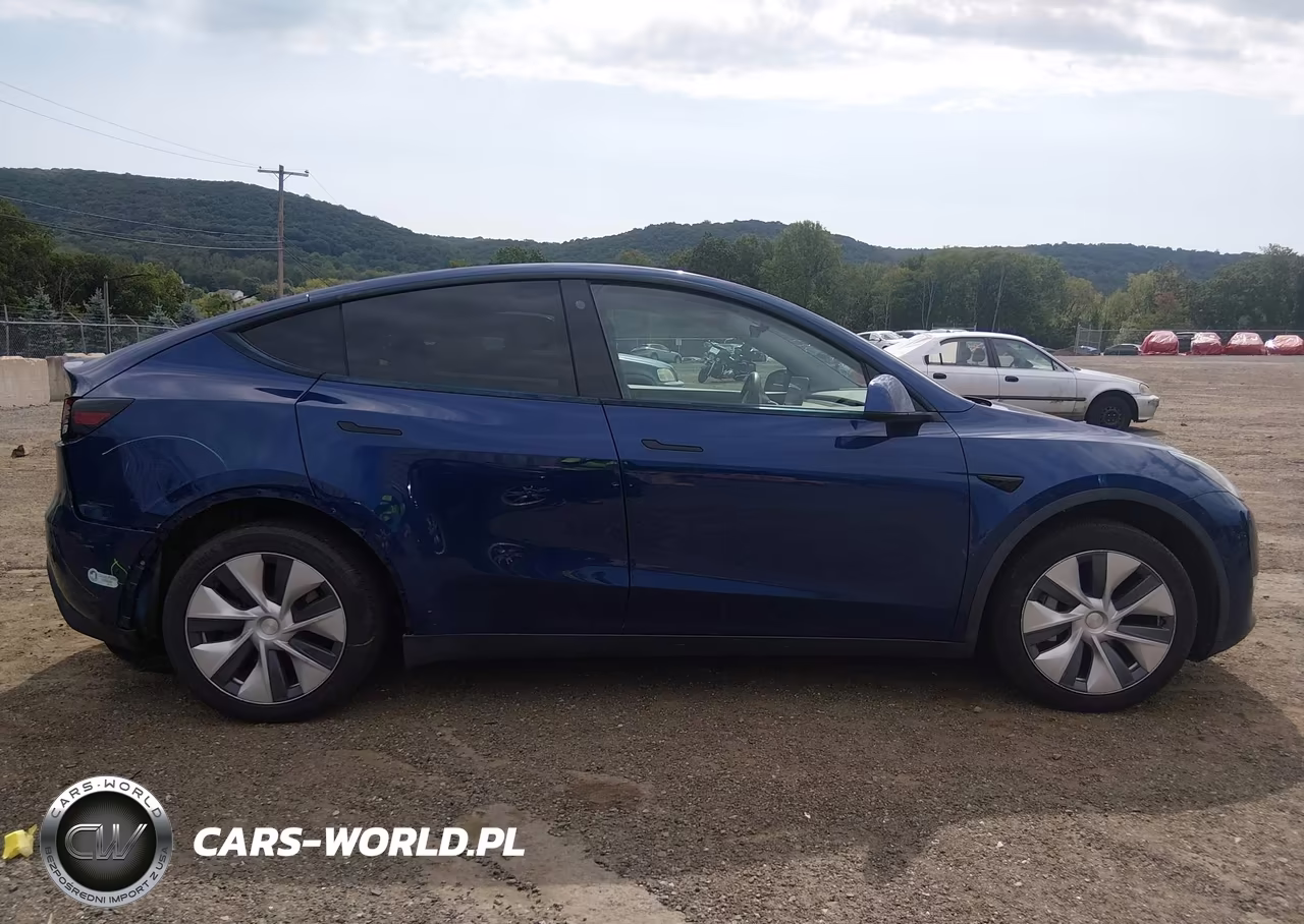 2021 Tesla Model Y Long Range Dual Motor All-Wheel Drive VIN:5YJYGDEE4MF071316 - 12