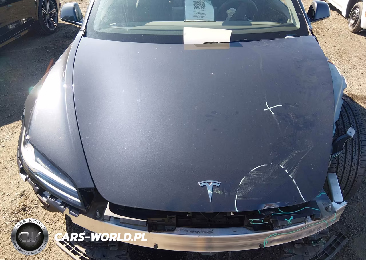 2025 Tesla Model 3 Long Range All-Wheel Drive VIN:5YJ3E1EB5SF924341 - 10
