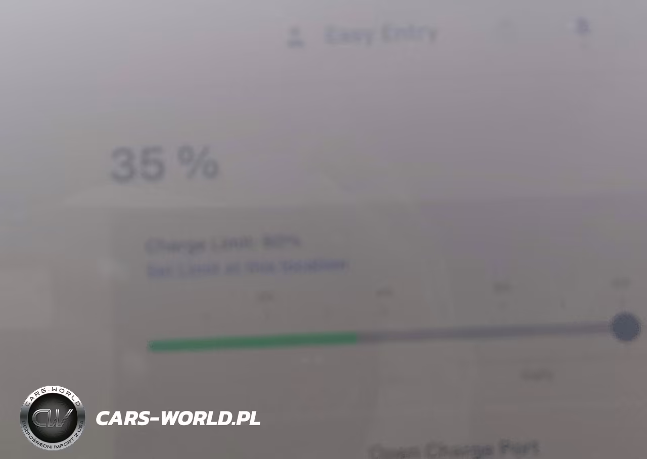 2023 Tesla Model Y Awd-Long Range Dual Motor All-Wheel Drive VIN:7SAYGDEE6PA163113 - 16