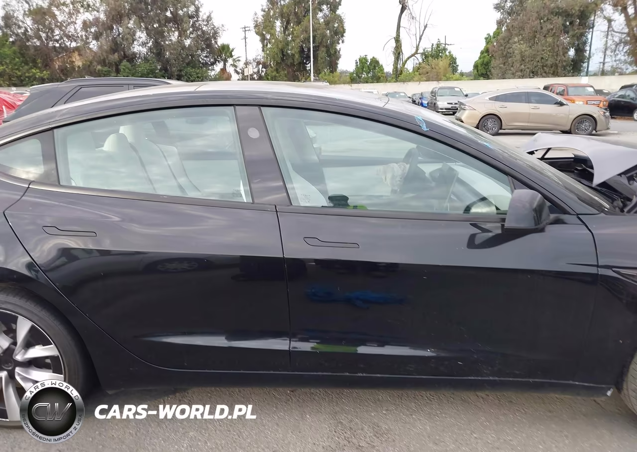 2025 Tesla Model 3 Long Range Rear-Wheel Drive-Standard Rear-Wheel Drive VIN:5YJ3E1EA0SF035938 - 13