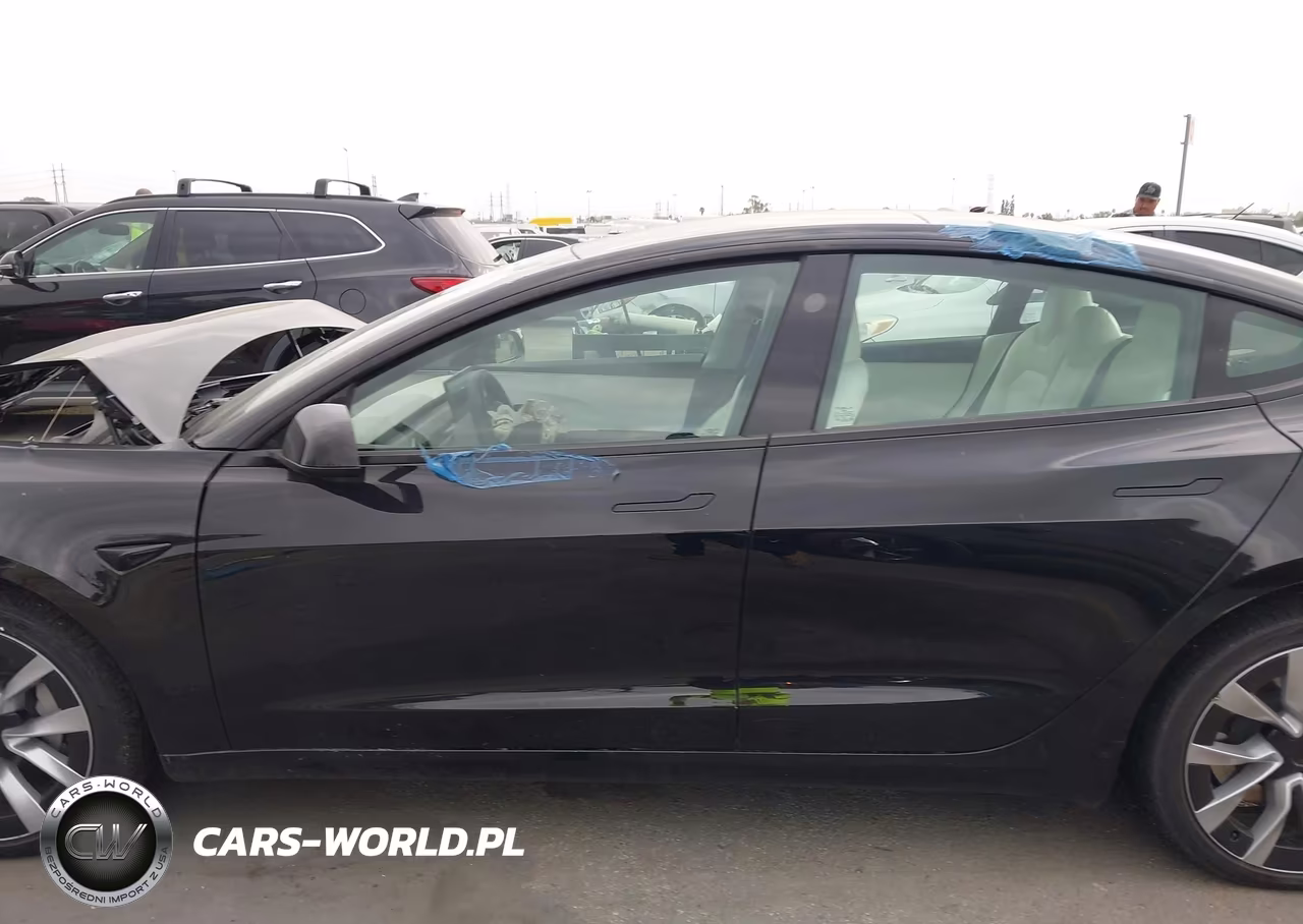 2025 Tesla Model 3 Long Range Rear-Wheel Drive-Standard Rear-Wheel Drive VIN:5YJ3E1EA0SF035938 - 14