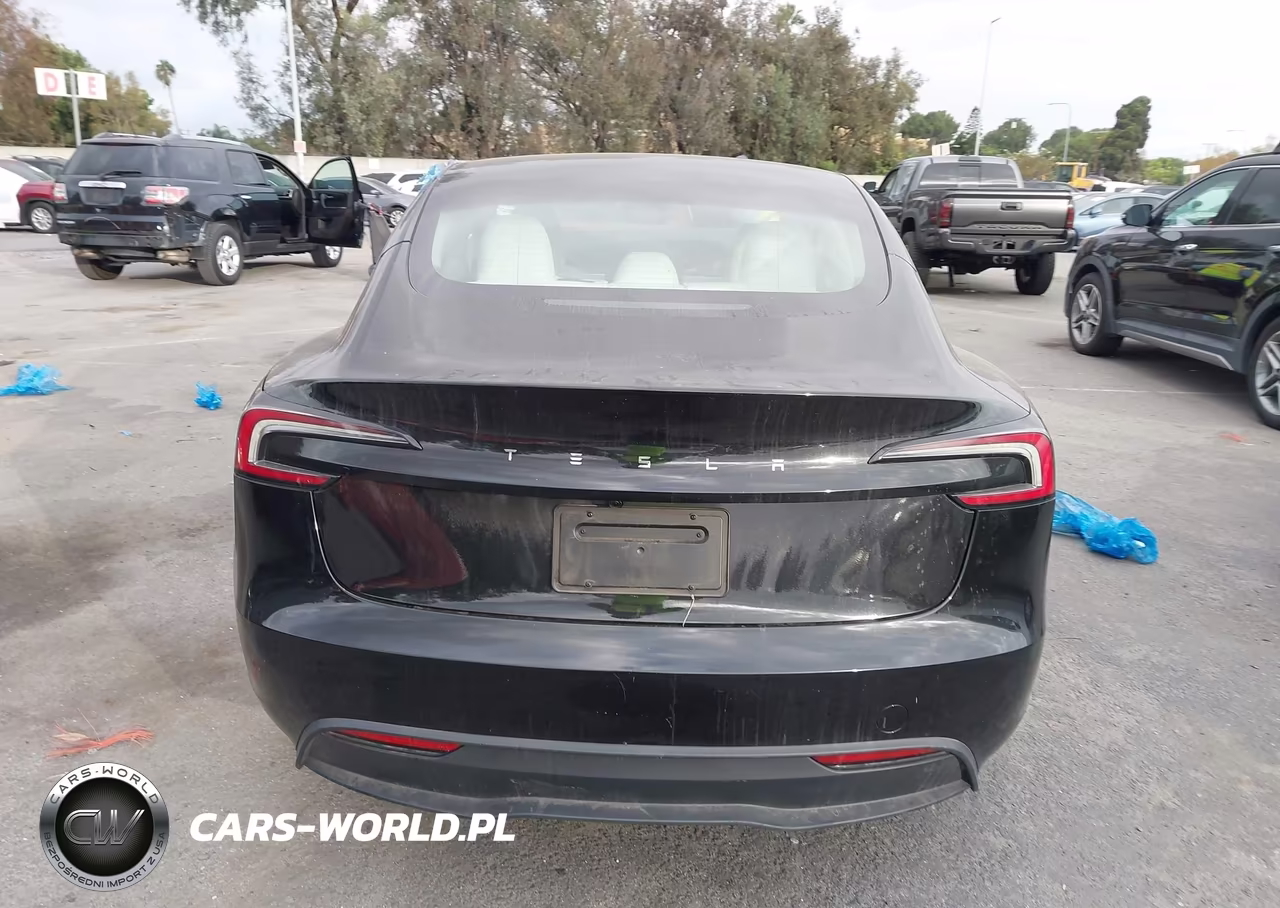 2025 Tesla Model 3 Long Range Rear-Wheel Drive-Standard Rear-Wheel Drive VIN:5YJ3E1EA0SF035938 - 16