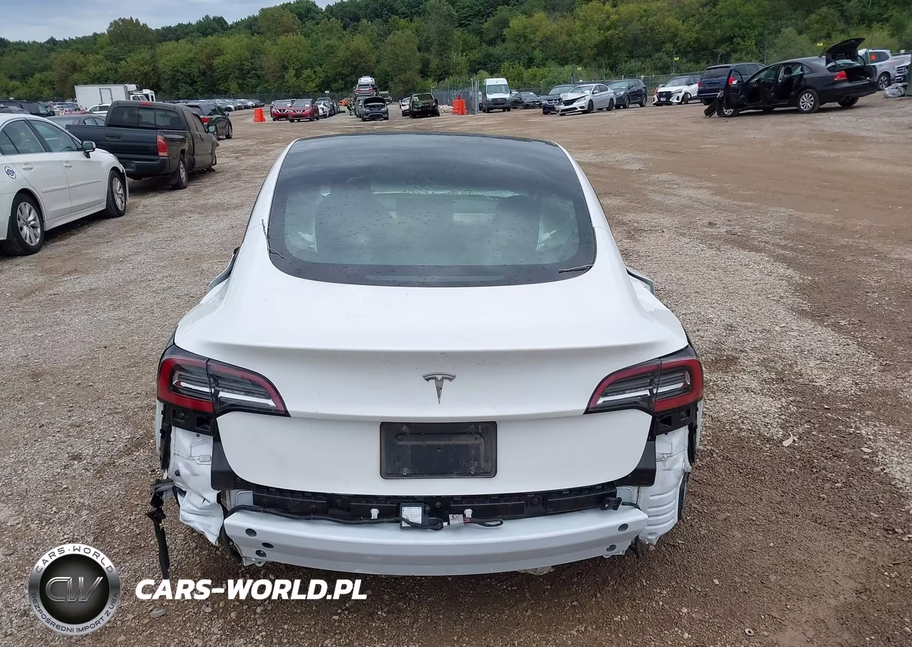 2023 Tesla Model 3 Rear-Wheel Drive VIN:5YJ3E1EA0PF491154 - 7