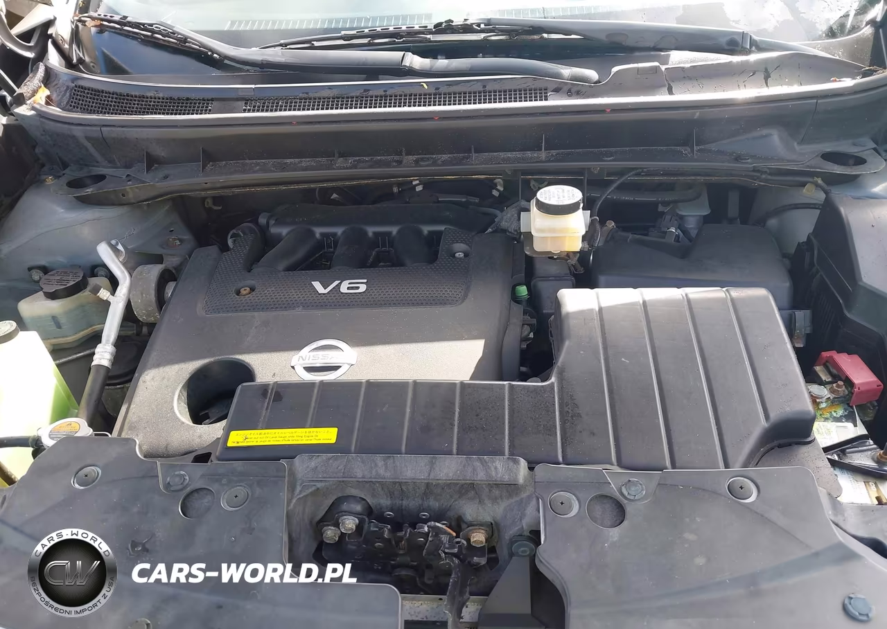 2009 Nissan Murano Sl VIN:JN8AZ18W69W207791 - 10