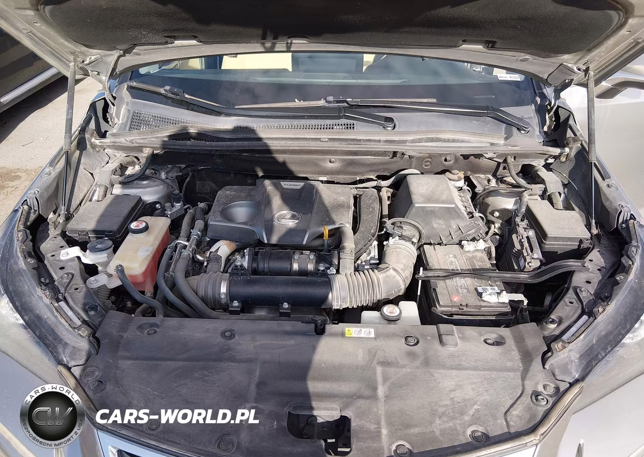2019 Lexus Nx 300 VIN:JTJYARBZ2K2153886 - 10