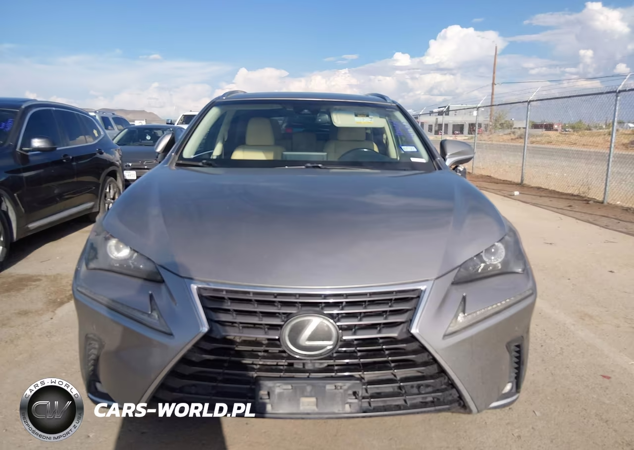 2019 Lexus Nx 300 VIN:JTJYARBZ2K2153886 - 12