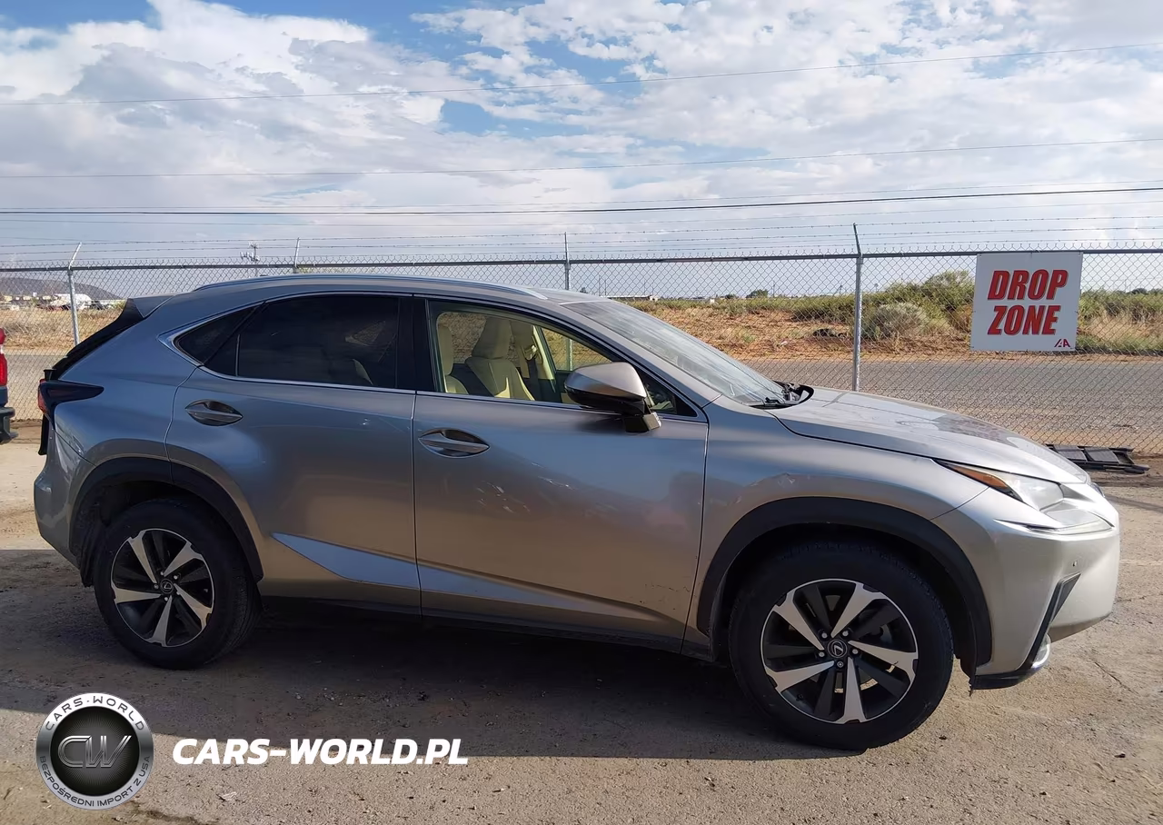 2019 Lexus Nx 300 VIN:JTJYARBZ2K2153886 - 13
