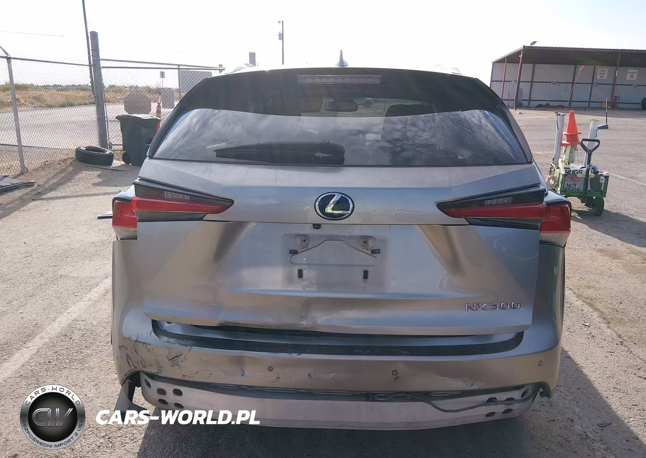 2019 Lexus Nx 300 VIN:JTJYARBZ2K2153886 - 16