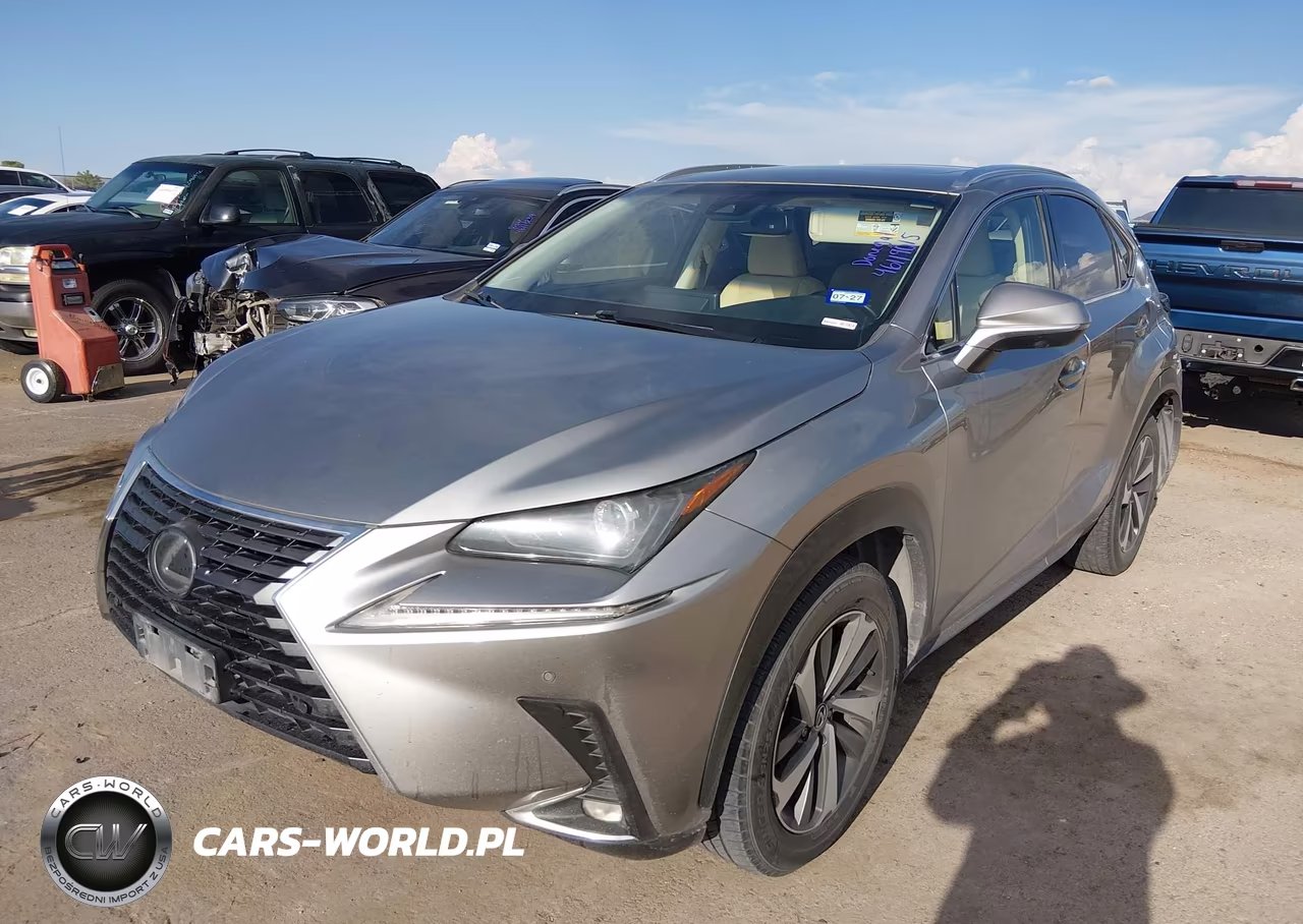 2019 Lexus Nx 300 VIN:JTJYARBZ2K2153886 - 2
