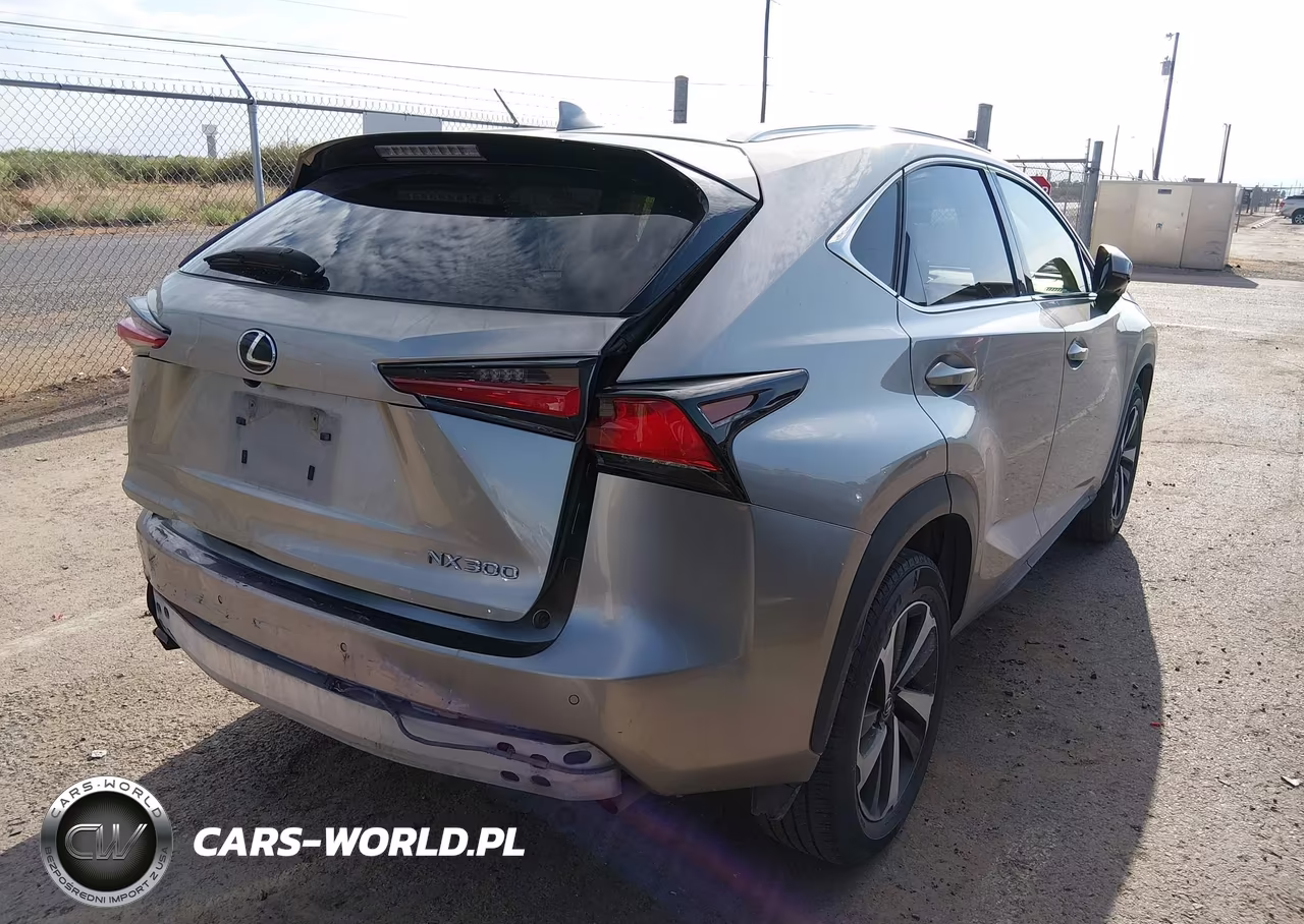 2019 Lexus Nx 300 VIN:JTJYARBZ2K2153886 - 4