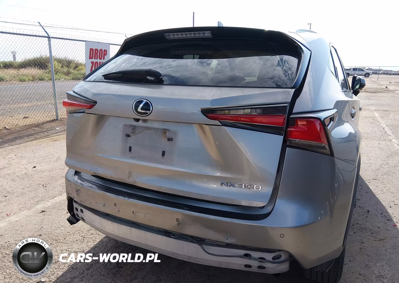 2019 Lexus Nx 300 VIN:JTJYARBZ2K2153886 - 6