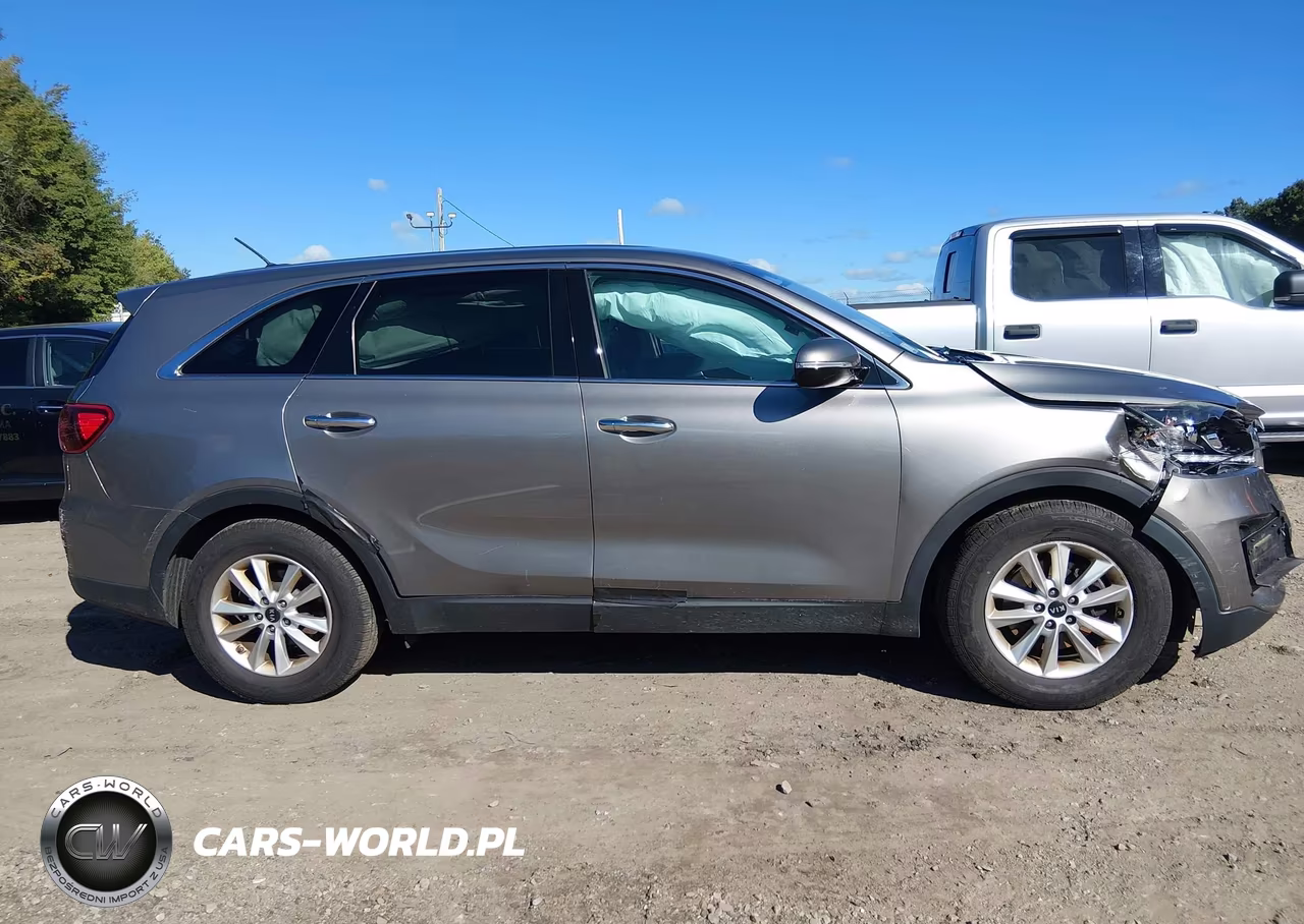 2019 Kia Sorento 3.3L Lx VIN:5XYPG4A52KG482267 - 13