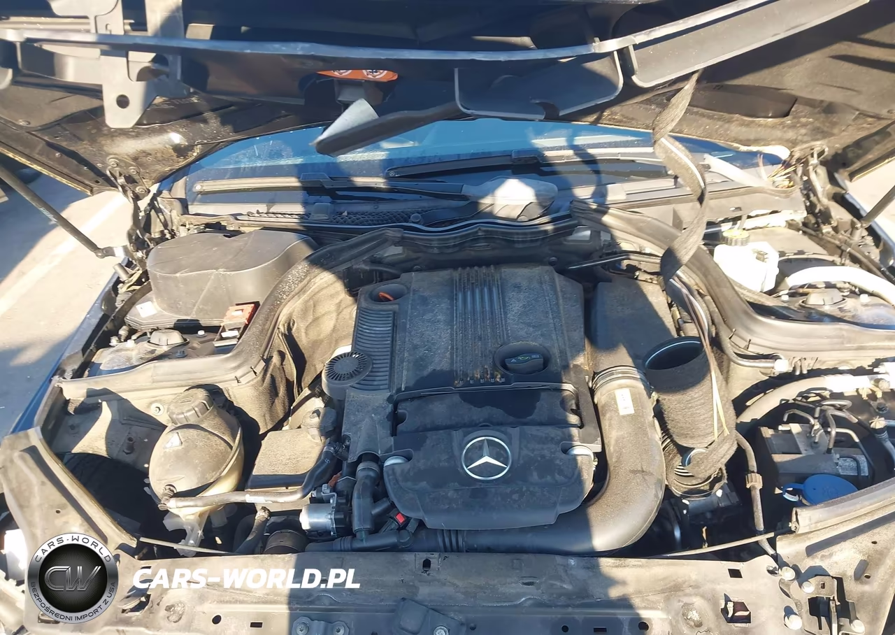 2015 Mercedes-Benz C 250 VIN:WDDGJ4HB4FG441693 - 10