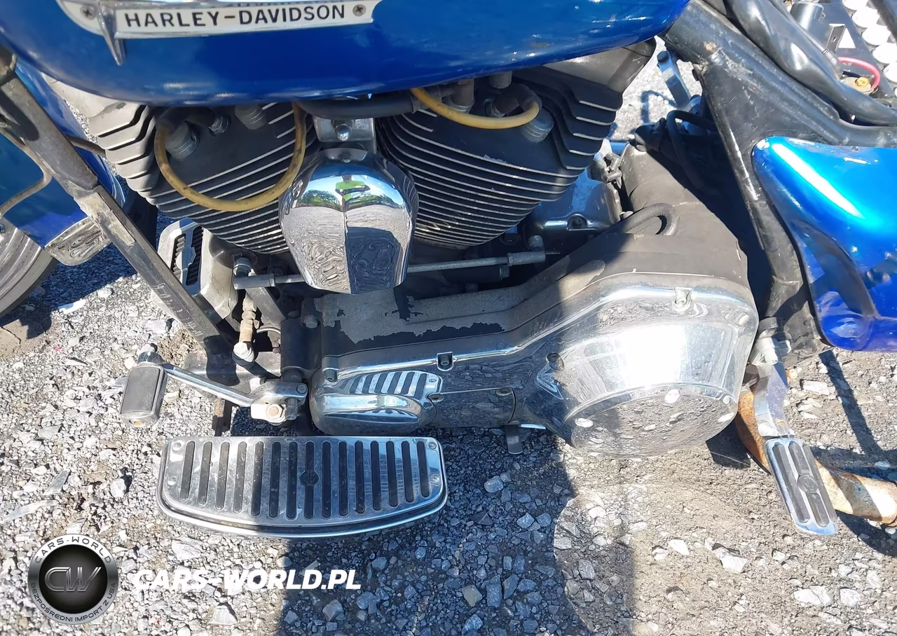 1999 Harley-Davidson Flhrci VIN:1HD1FRW15XY605844 - 9