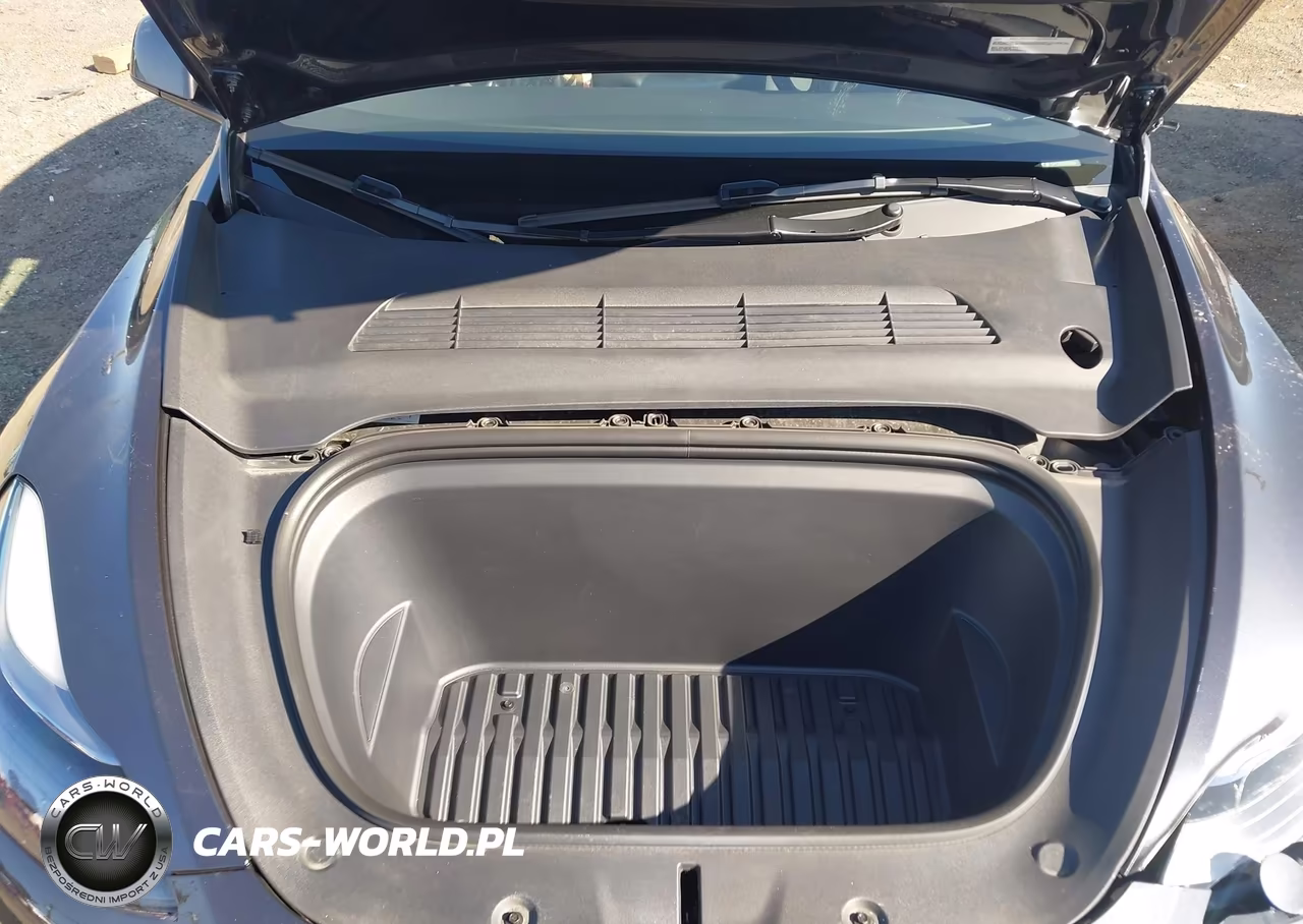 2024 Tesla Model Y Long Range Dual Motor All-Wheel Drive VIN:7SAYGDEE1RA308304 - 10