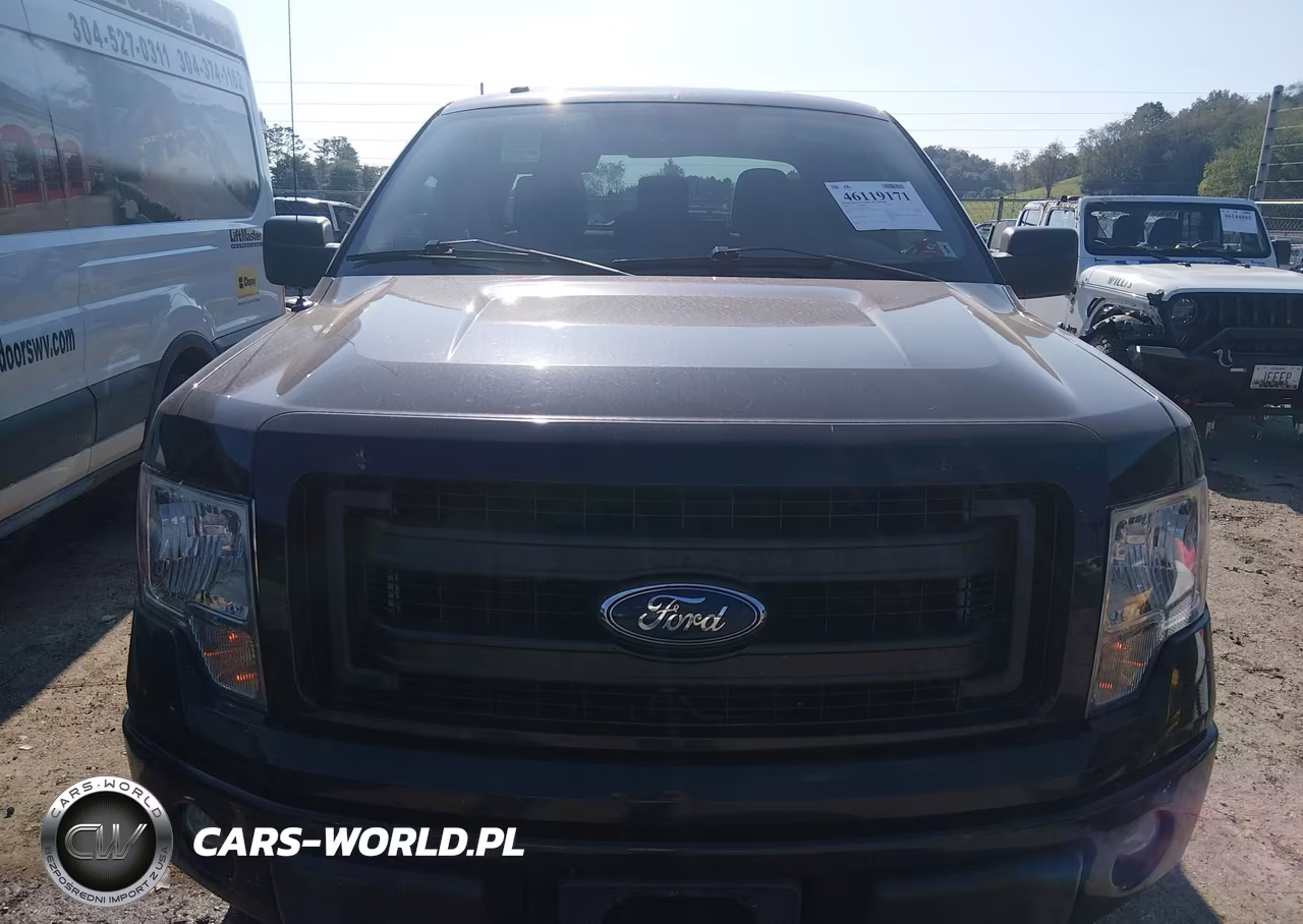 2013 Ford F-150 Stx VIN:1FTFX1EFXDKF29992 - 12