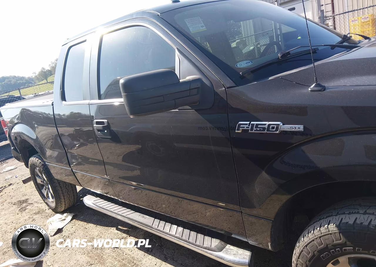 2013 Ford F-150 Stx VIN:1FTFX1EFXDKF29992 - 13