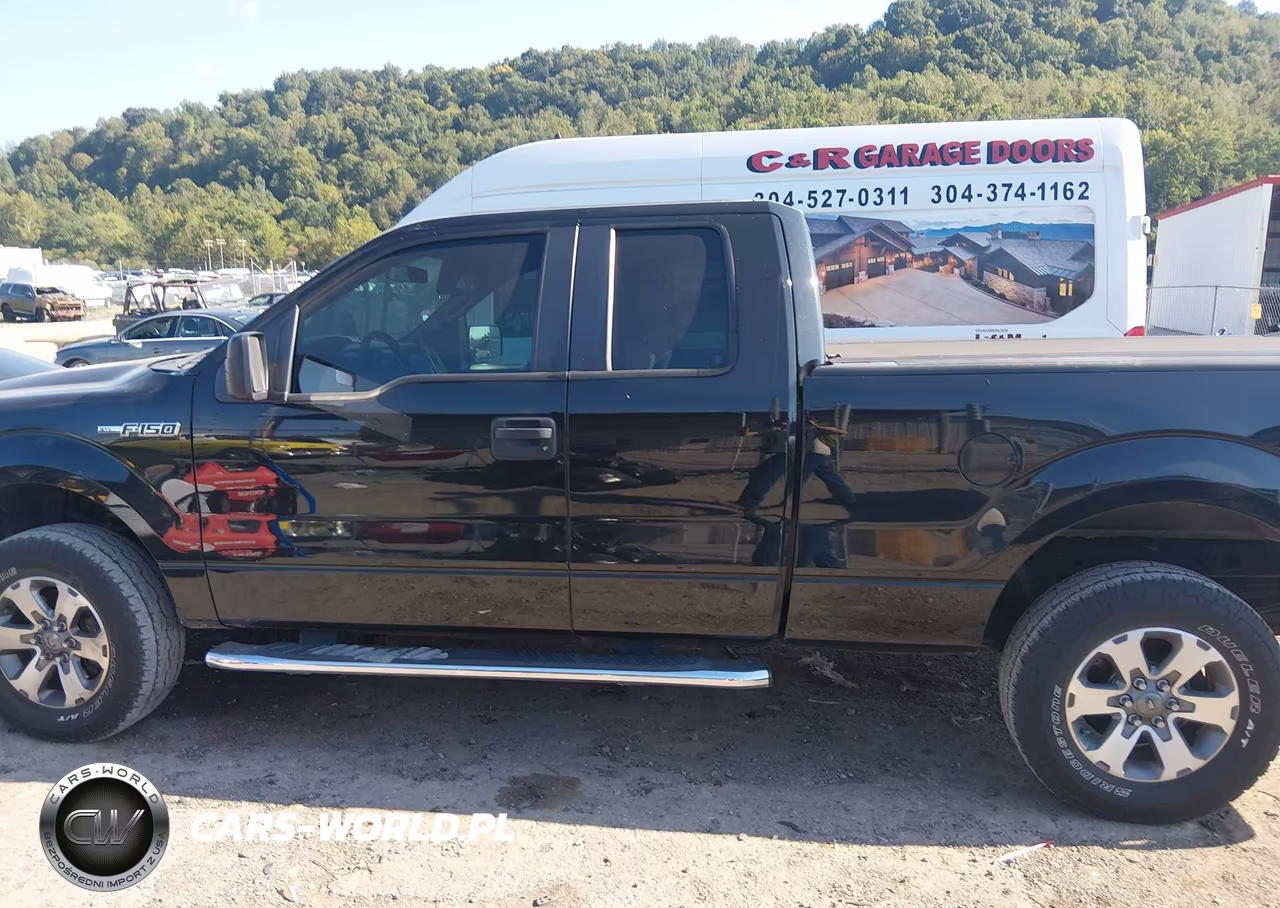 2013 Ford F-150 Stx VIN:1FTFX1EFXDKF29992 - 14