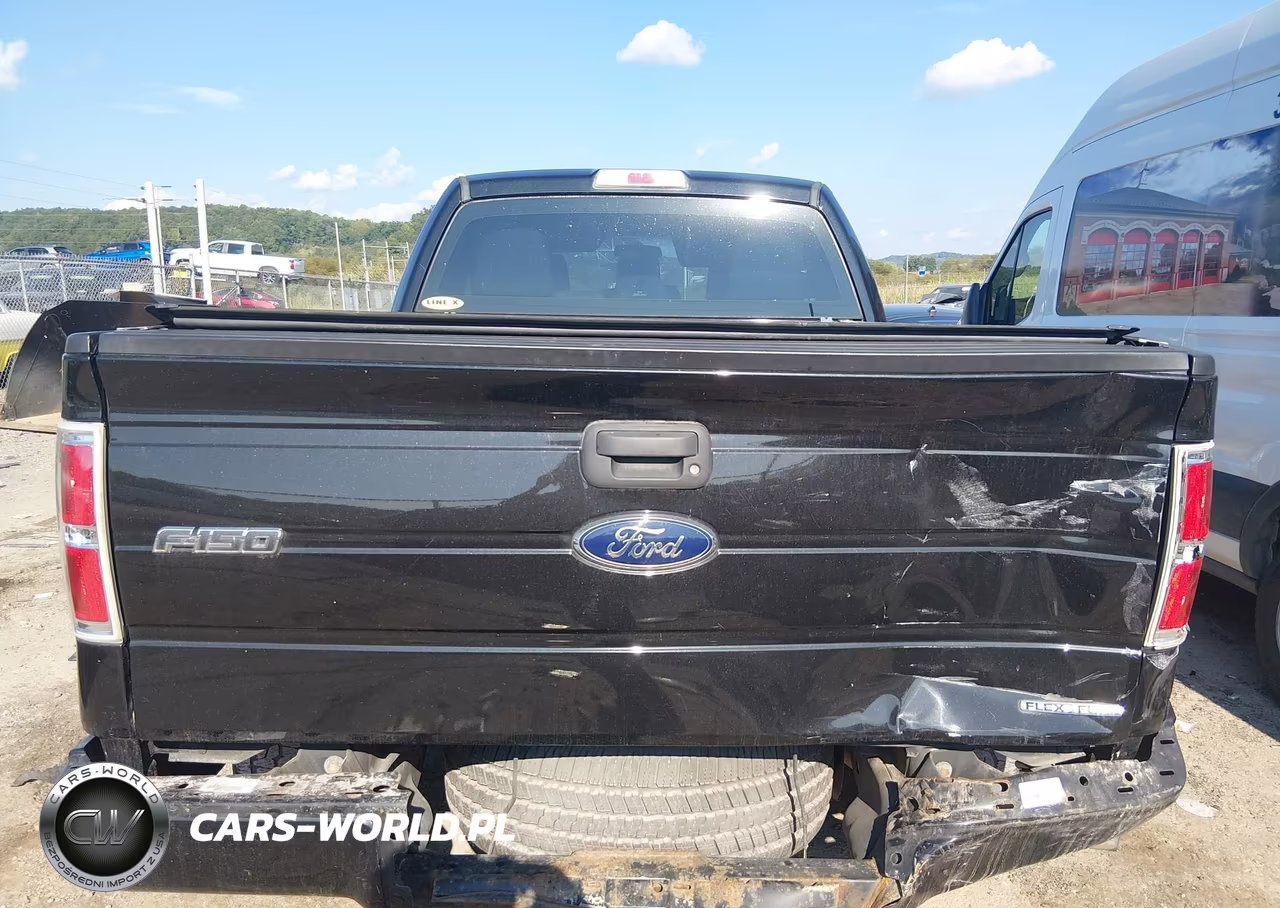 2013 Ford F-150 Stx VIN:1FTFX1EFXDKF29992 - 16