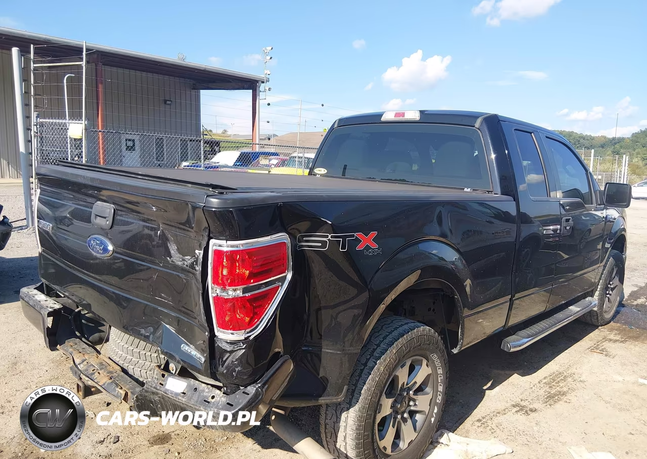 2013 Ford F-150 Stx VIN:1FTFX1EFXDKF29992 - 4