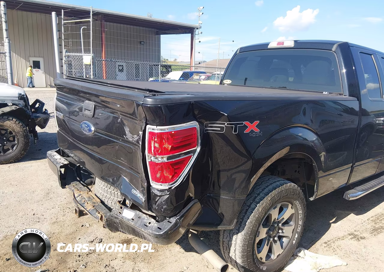 2013 Ford F-150 Stx VIN:1FTFX1EFXDKF29992 - 6