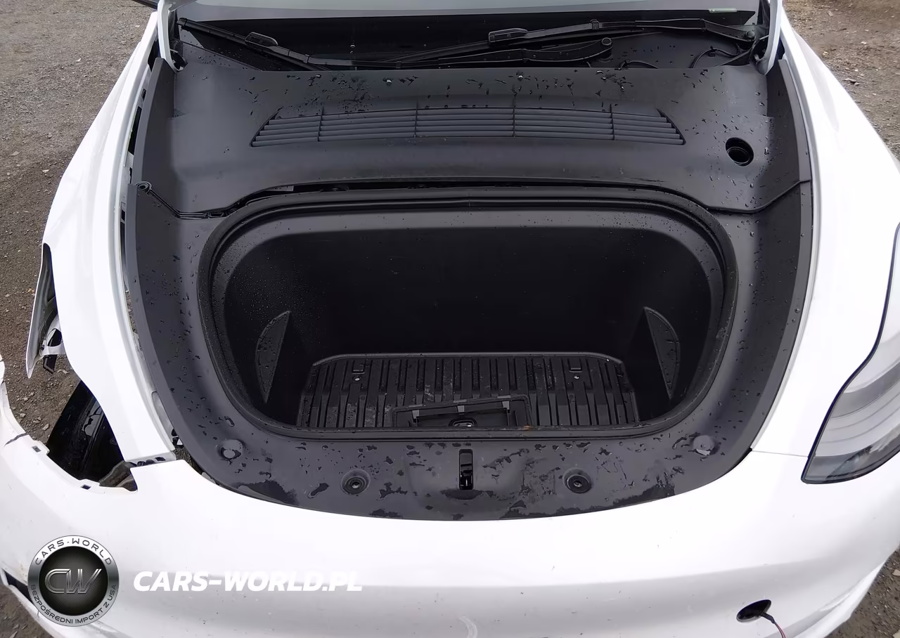 2024 Tesla Model Y Long Range Dual Motor All-Wheel Drive VIN:7SAYGDEE2RA250607 - 10