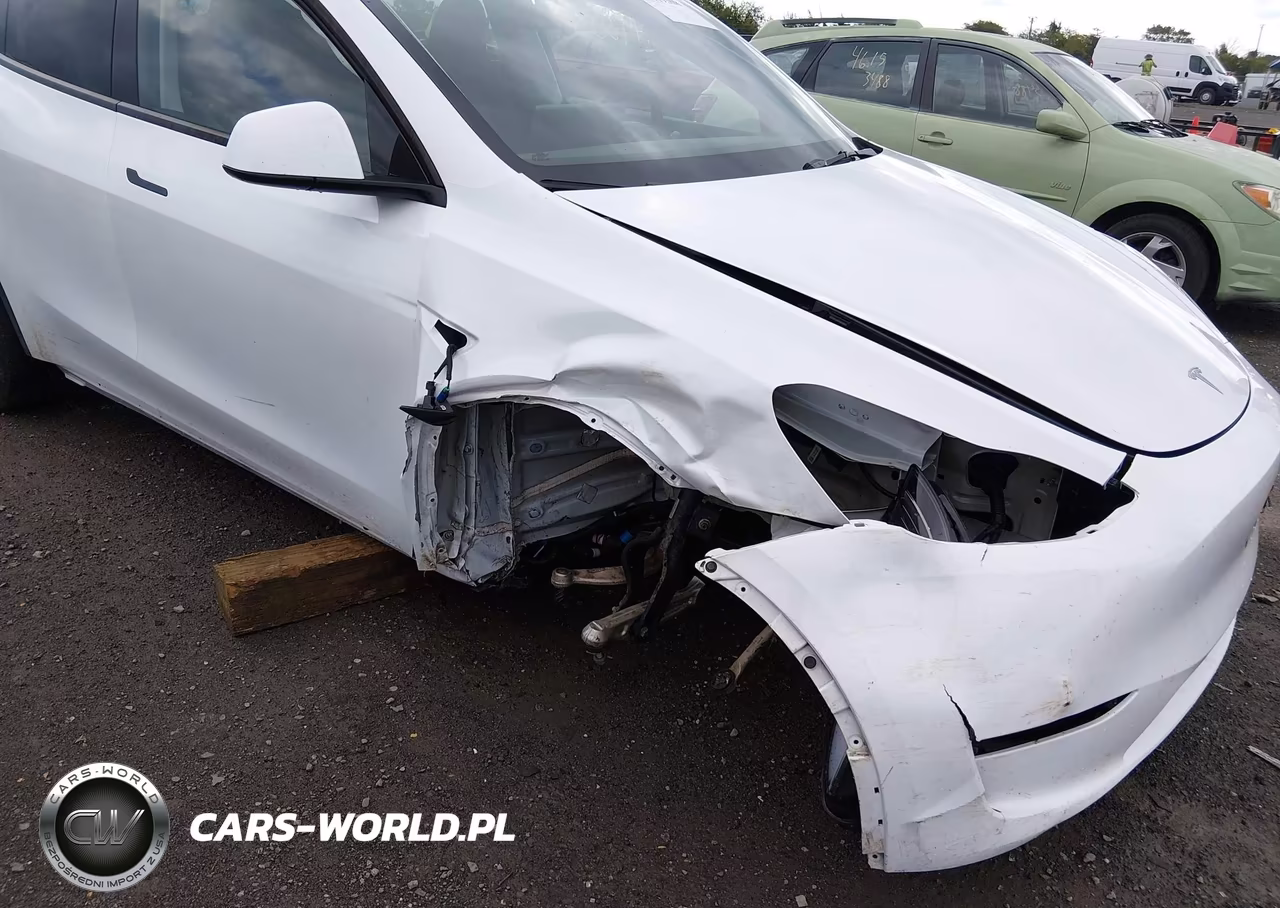 2024 Tesla Model Y Long Range Dual Motor All-Wheel Drive VIN:7SAYGDEE2RA250607 - 6