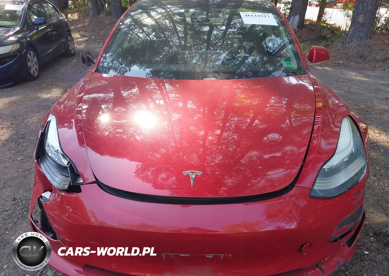 2019 Tesla Model 3 Long Range-Mid Range-Standard Range-Standard Range Plus VIN:5YJ3E1EA1KF299198 - 11