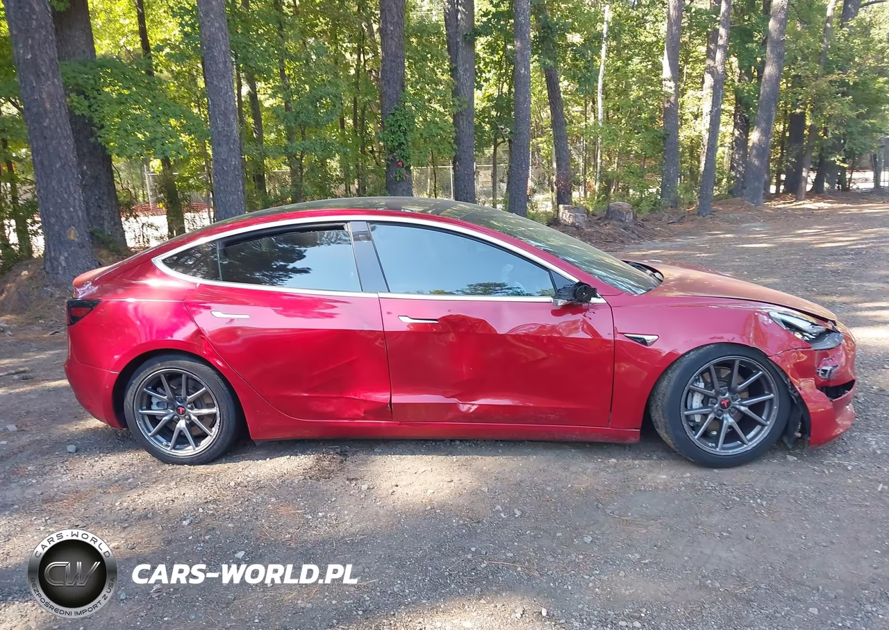 2019 Tesla Model 3 Long Range-Mid Range-Standard Range-Standard Range Plus VIN:5YJ3E1EA1KF299198 - 12