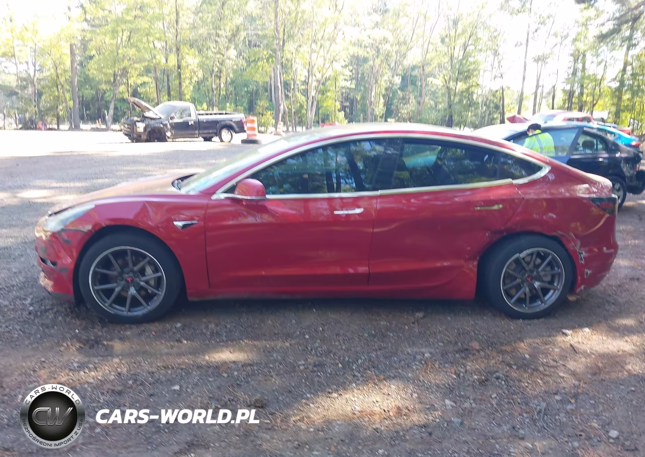 2019 Tesla Model 3 Long Range-Mid Range-Standard Range-Standard Range Plus VIN:5YJ3E1EA1KF299198 - 13