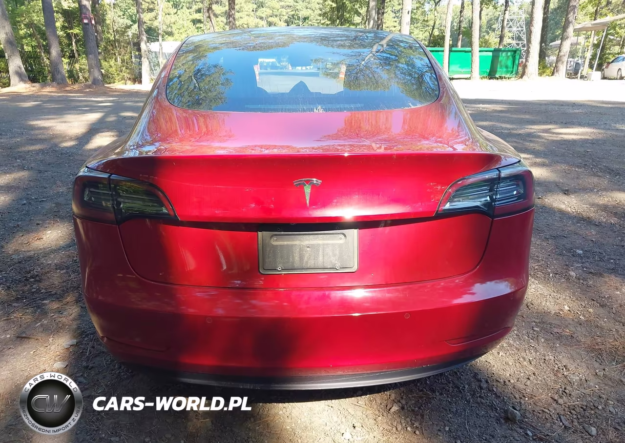 2019 Tesla Model 3 Long Range-Mid Range-Standard Range-Standard Range Plus VIN:5YJ3E1EA1KF299198 - 15